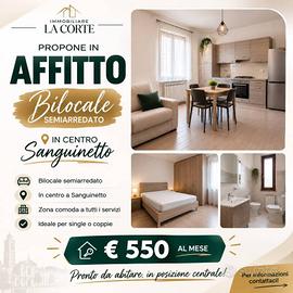 Appartamento di 50 m² con 2 locali a Sanguinetto