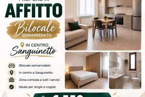 Appartamento di 50 m² con 2 locali a Sanguinetto
