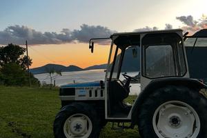 Trattore Lamborghini 554 /50 50 cv con 1820 ore