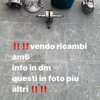 ricambi am6