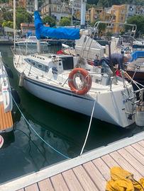 M.8,58X2,80 MOTORE VETUS 31CV IN FASE DI REFITTING