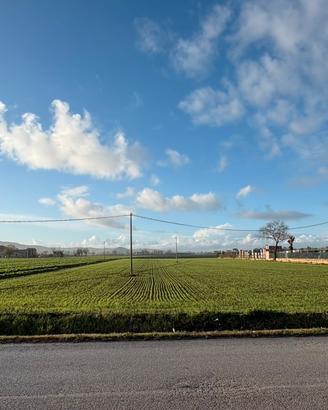 Terreno a Marotta vicino uscita Autostrada