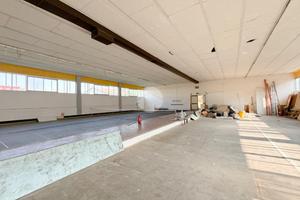 CAPANNONE A GUIDIZZOLO