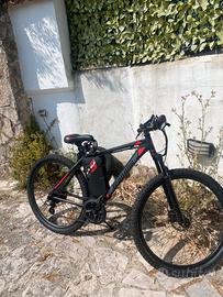 Bici elettrica