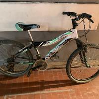 Bicicletta ruota 24