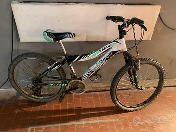 Bicicletta ruota 24