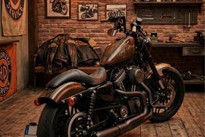 Sportster Roadster 1200
