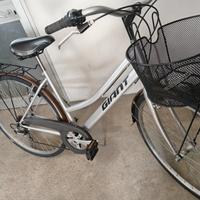 bicicletta da donna gomme 28 