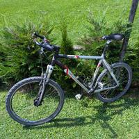 MTB Lee Cougan Nitro AL