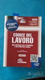 Codice del lavoro la  tribuna  2025