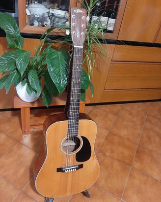 Chitarra Acustica Aria