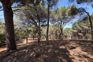 Terreno di 9250 m² a Cefalù
