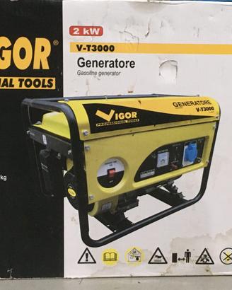 generatore vigor