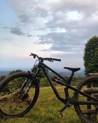Mtb canyon spectral cf7 2023 TG M da enduro