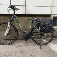 E-Bike Pegasus Solero Evo 8 City-Bike