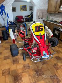 go-kart 125cc monomarcia birel da competizione