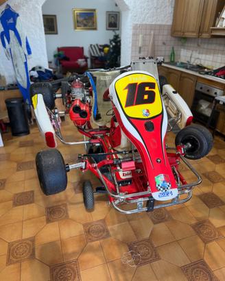 go-kart 125cc monomarcia birel da competizione