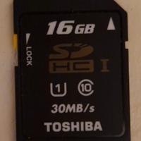 SD Toshiba