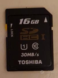 SD Toshiba