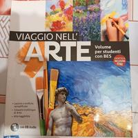 libro arte "viaggio nell'arte per studenti con BES