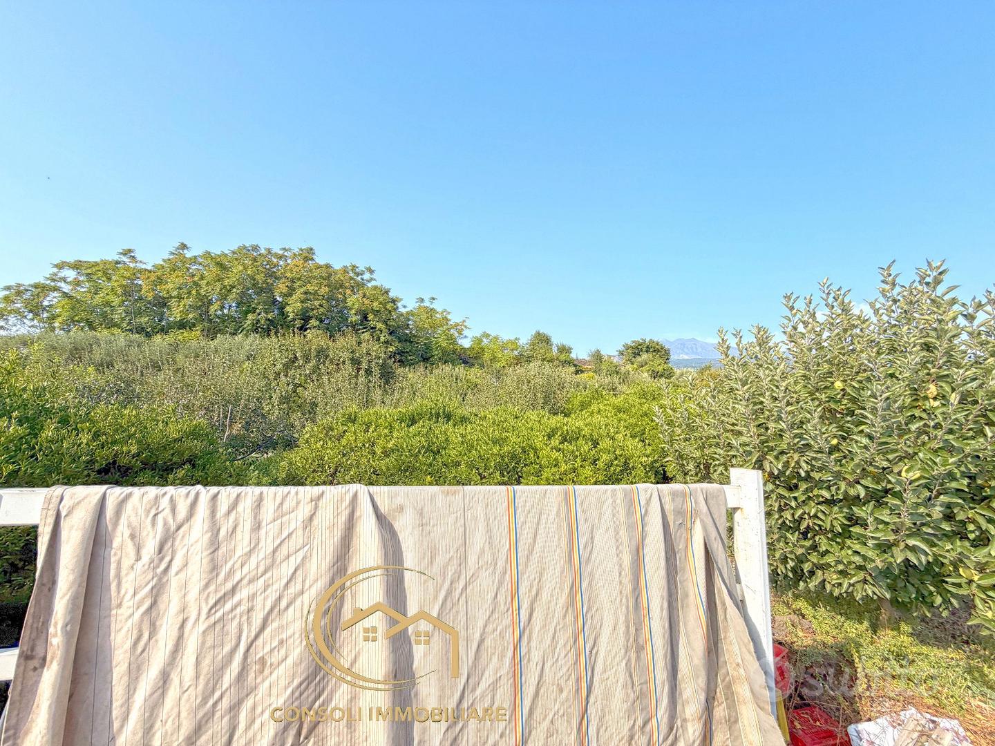 Agrumeto, frutteto, uliveto a Piedimonte Etneo - Vista 3
