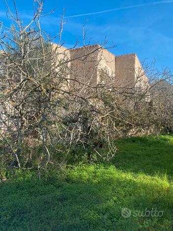 Immediata periferia casale con terreno-uliveto