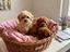 Immagine 27