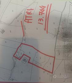 Terreno agricolo ATRI (TE)