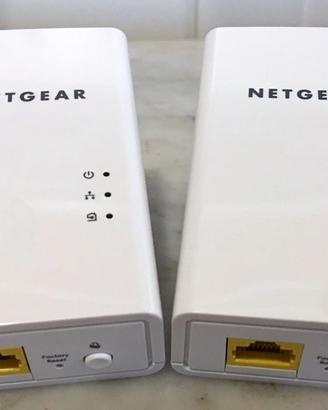 2 Netgear PL1000 Powerline 