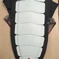 Paraschiena Dainese D tech - moto snowboard