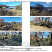 Terreno Agricolo Baschi [A4313812]