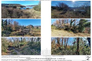 Terreno Agricolo Baschi [A4313812]