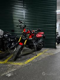 Ducati Monster SP