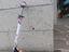 Immagine 4