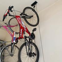 Bici
