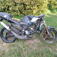 Aprilia RS 50 Estrema Chesterfield