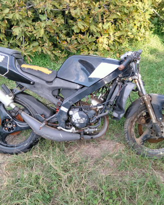 Aprilia RS 50 Estrema Chesterfield