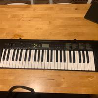 Pianola/tastiera elettronica