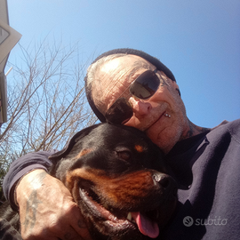 Manutentore Tuttofare persona di fiducia