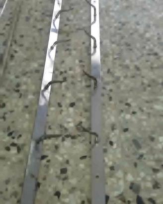Barra attacco gancera 10 ganci INOX