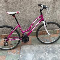 Bici Mtb