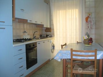 Studentesse/insegnanti