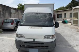 Furgone panini fiat ducato