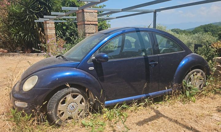 volkswagen new beetle 1.9 tdi (ricambi)