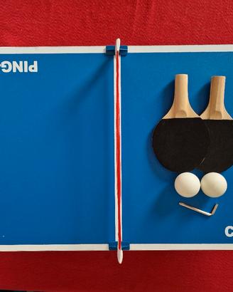 ping pong da tavolo per bambini