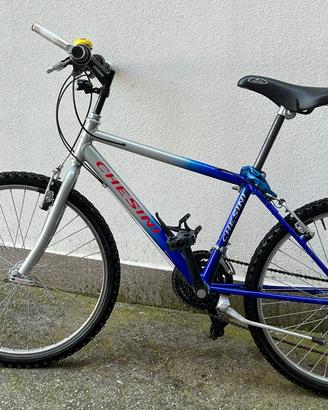Bici Mountain Bike Chesini