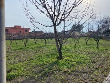 Terreno di 1100 m² a Giugliano in Campania