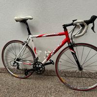 Colnago-(Primavera)