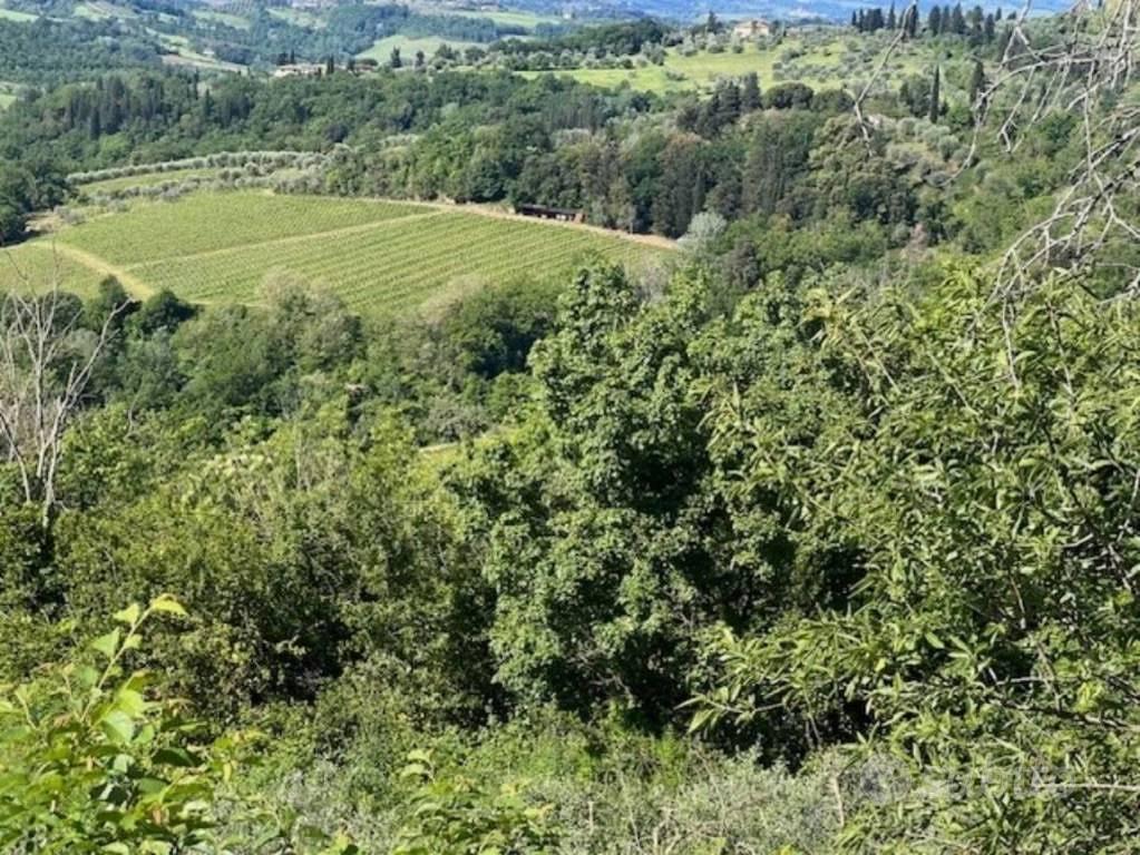 Immobile in asta di 157149 m² a Montespertoli - Vista 3