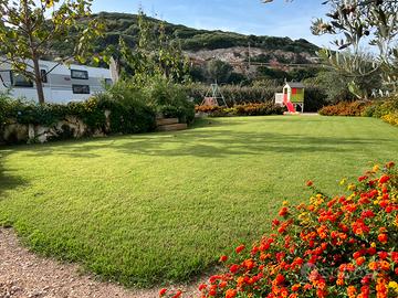 Terreno con Giardino